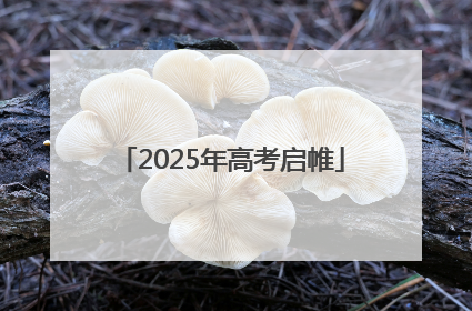 2025年高考启帷